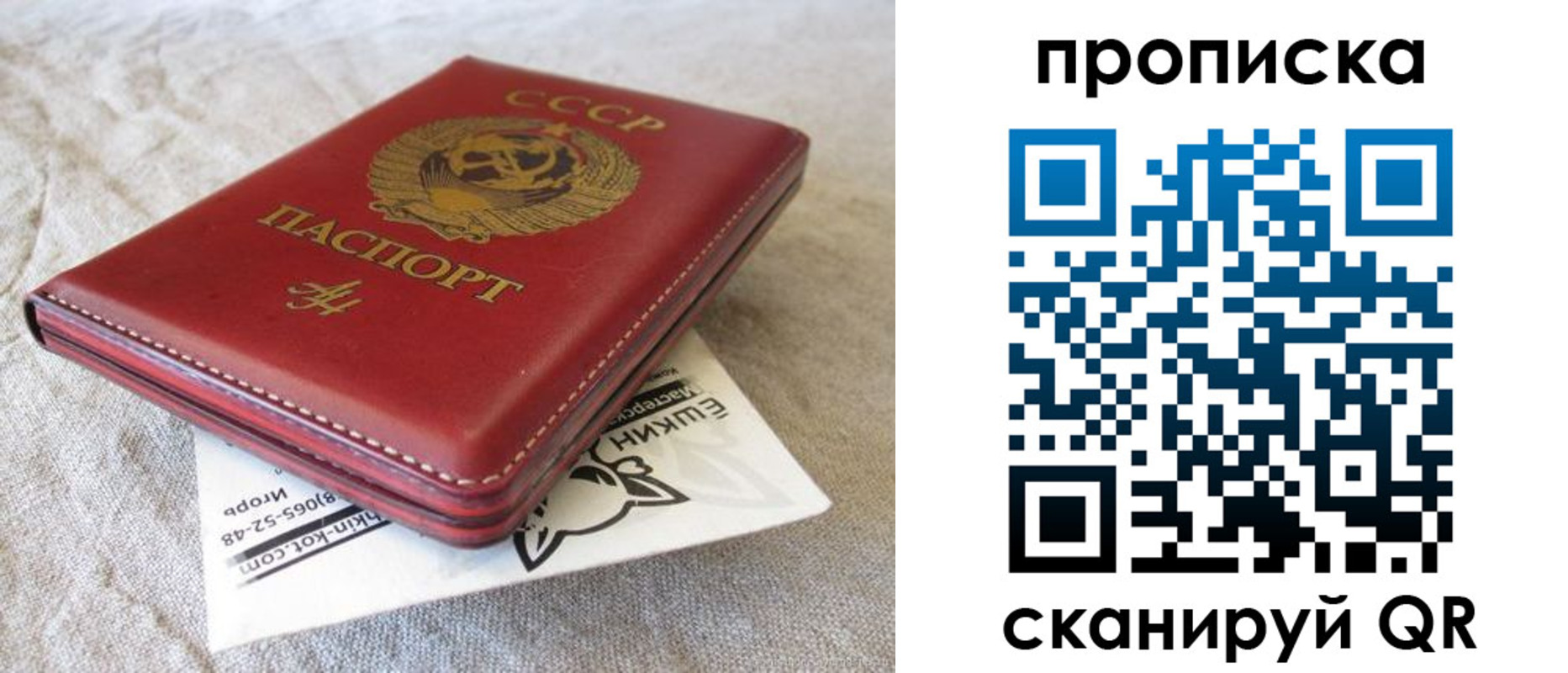 прописка для школы в Свирске